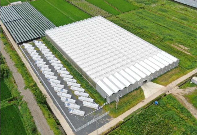 Smart Farm using Renewable Energy