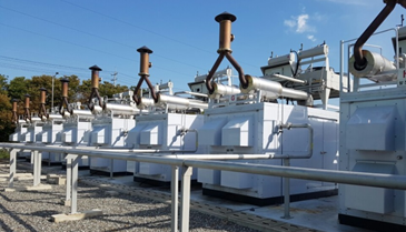 Landfill Gas Generation Project